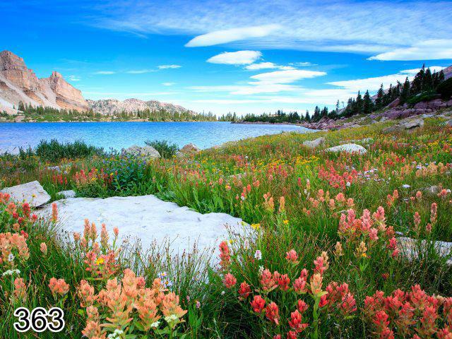 پرده لوردراپه تصویری منظره گل و دریا کد 363 1 پرده لوردراپه تصویری منظره گل و دریا کد 363